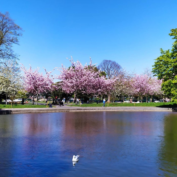 du lịch Châu Âu mùa nào đẹp nhất