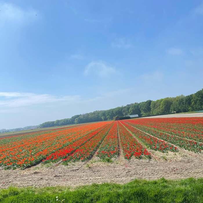 Du lịch Châu Âu nên đi nước nào