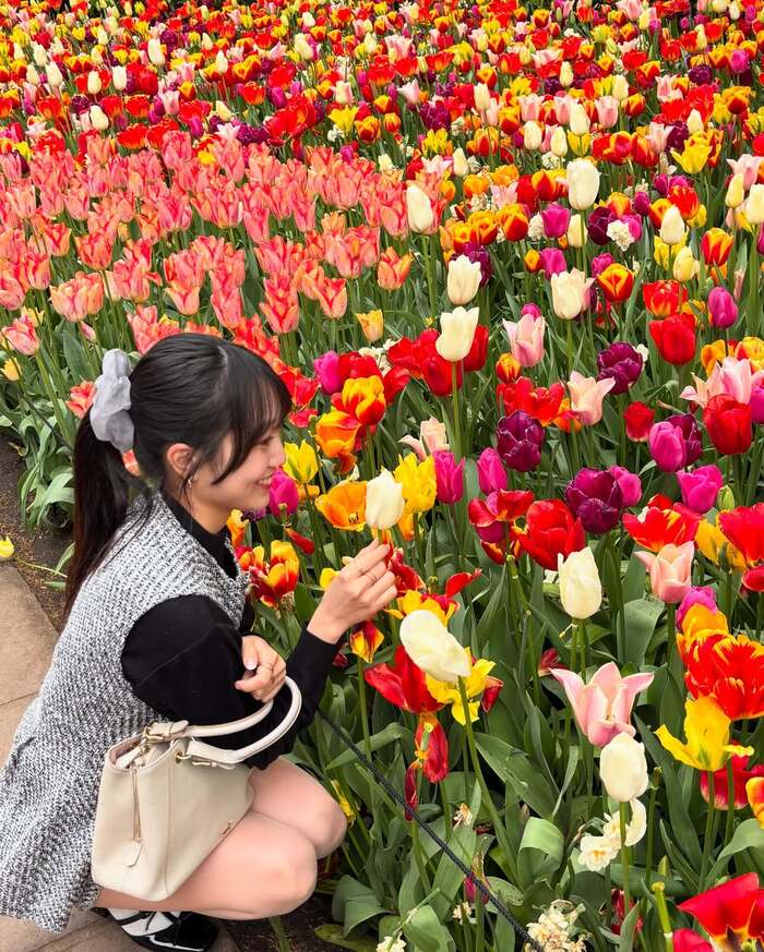 Lễ hội ở Châu Âu