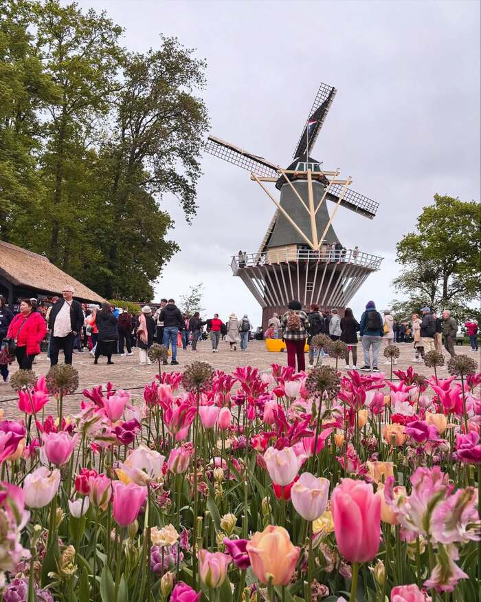 Lễ hội ở Châu Âu