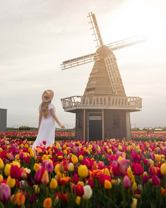 Lễ hội ở Châu Âu