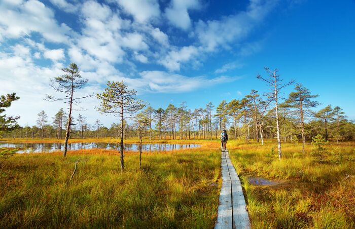 Du lịch Estonia