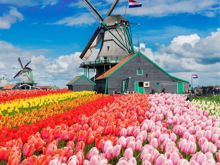 Du lịch Amsterdam