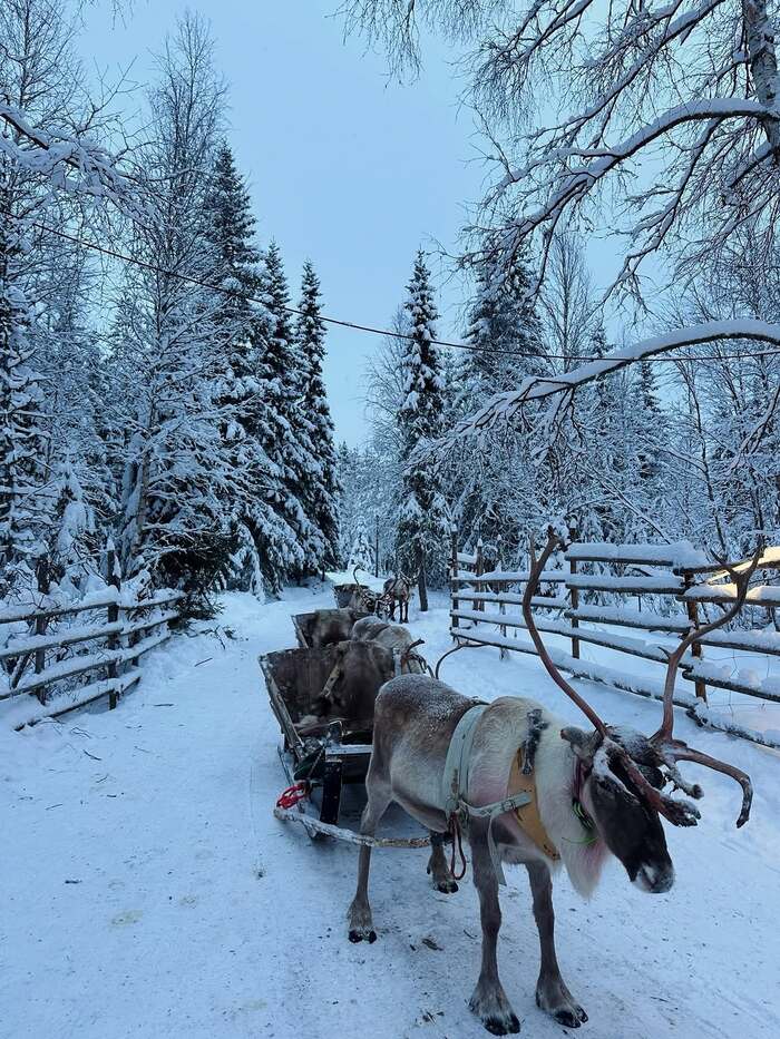du lịch Rovaniemi
