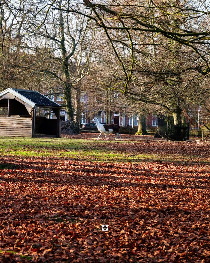 Du lịch Haarlem